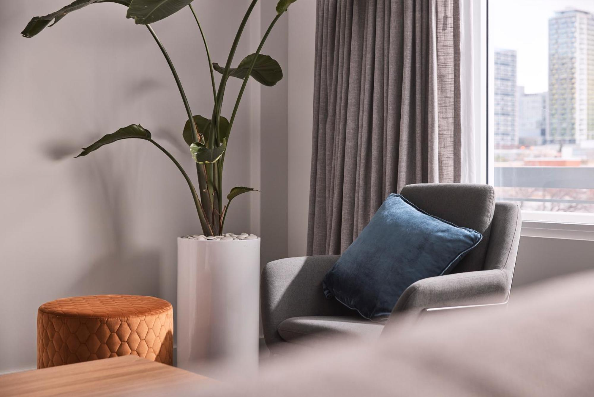 Hotel Alba אדלייד מראה חיצוני תמונה